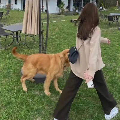 我的第二青春 封面