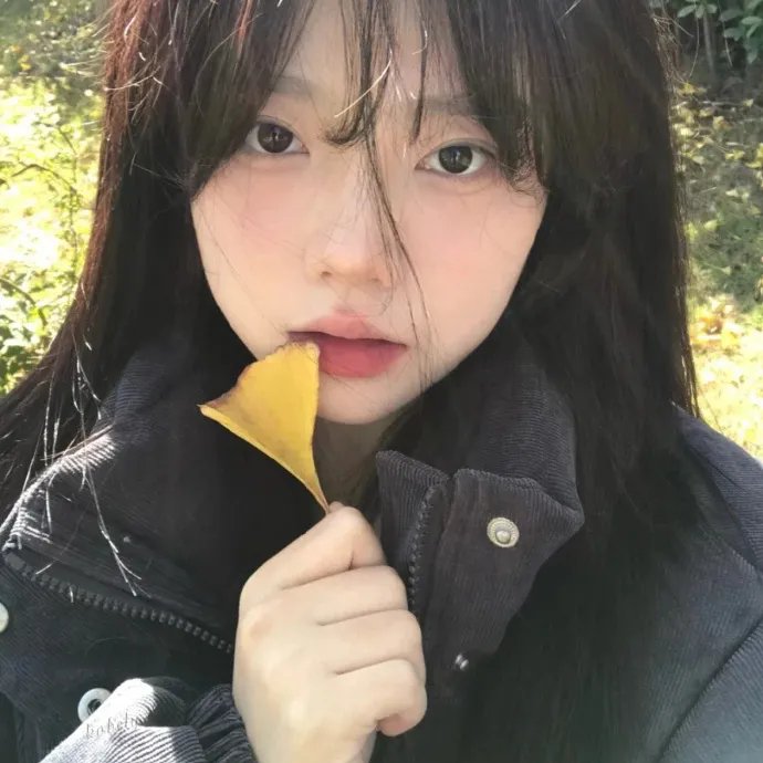 羊惧 封面